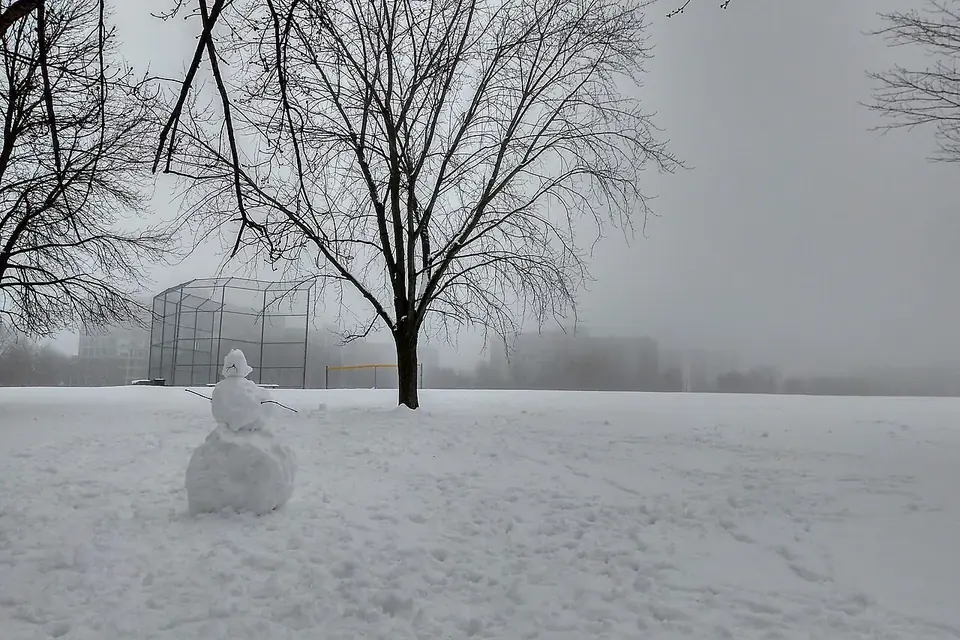 Petit bonhomme de neige seul dans un parc enneigé, sous des arbres nus noyés dans le brouillard